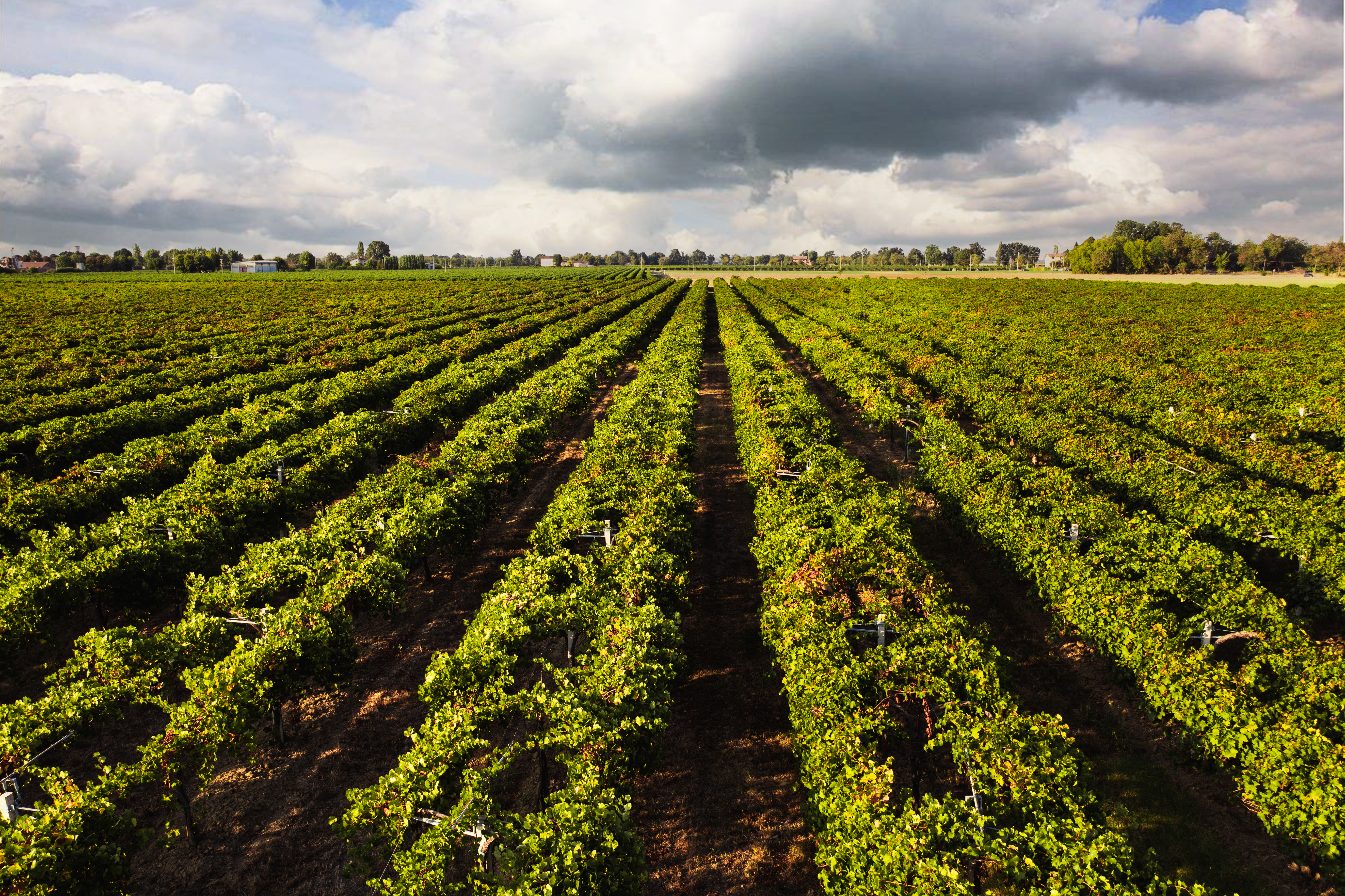 Cables para la agricultura